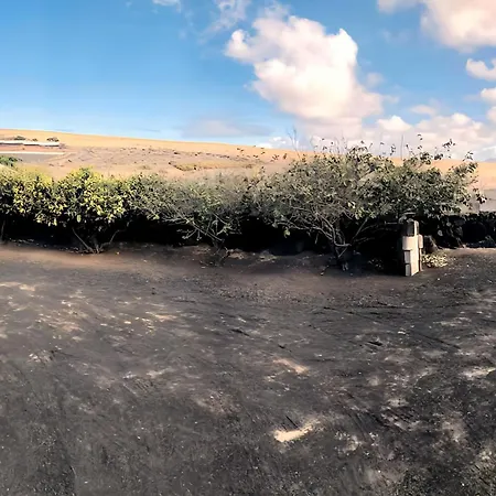 Alegranza In The Beautiful Village Of Mozaga, Lanzarote * Mozaga